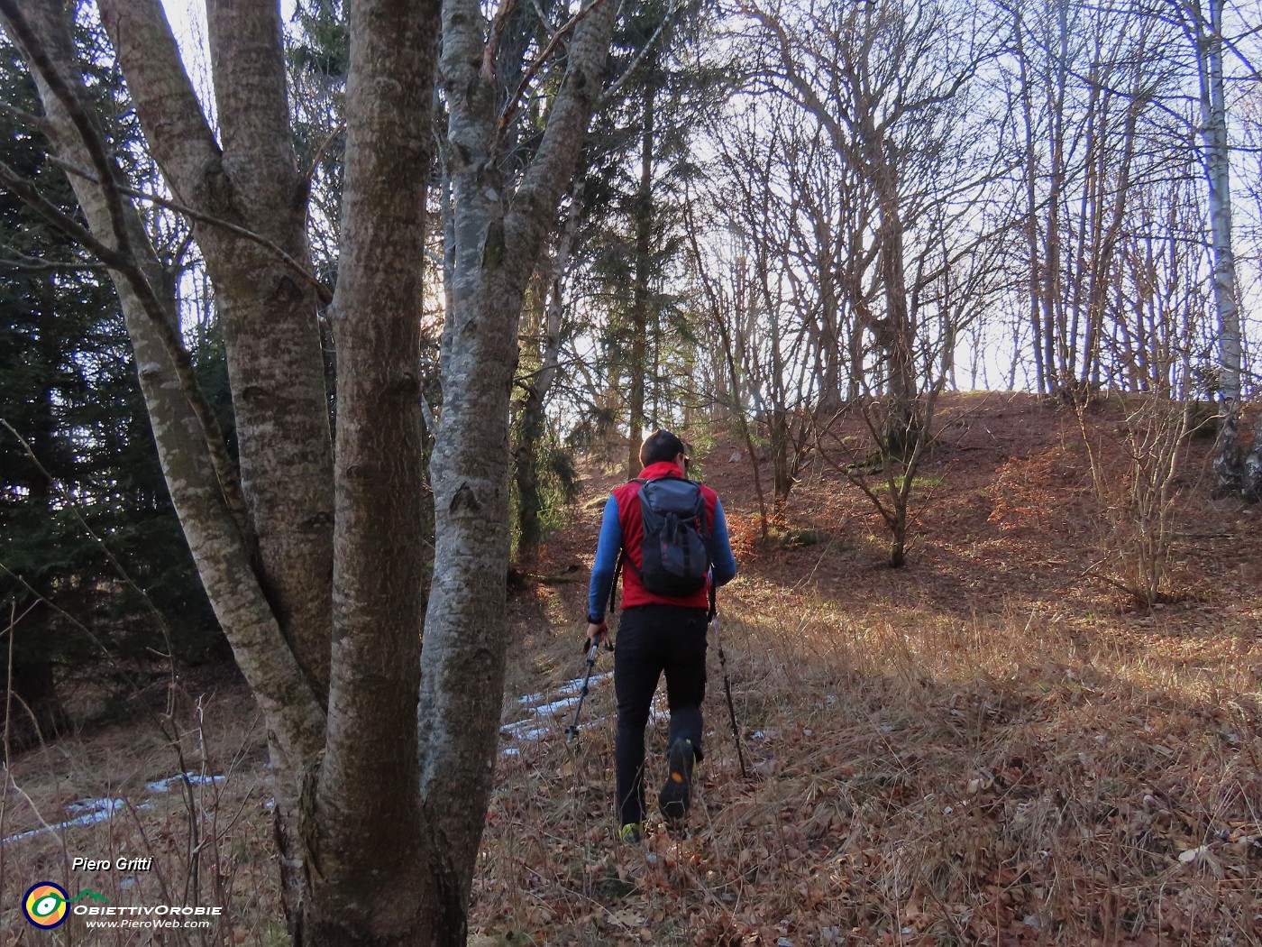 46 Seguiamo labile traccia sulla dorsale sud prima nel bosco poi sulle ex-miniere di calamina .JPG